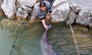 三峡水库在哪个省 三峡水库在哪个省